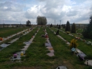 Kwiecień 2017 - trzeba kosić trawę